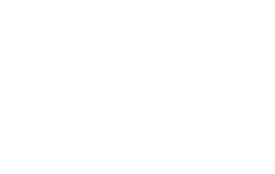 Bandwagonhost中文网